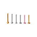 No Boundaries 20G Nose Ring Multi Pack, 6-Piece Set